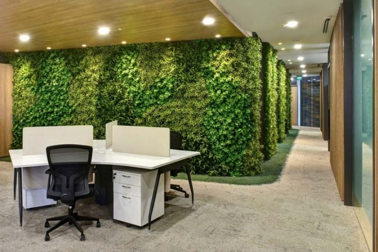 PLANTAS DE INTERIOR PARA ABSORVER LOS CONTAMINANTES DEL AIRE.