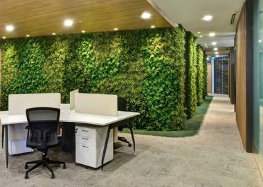 PLANTAS DE INTERIOR PARA ABSORVER LOS CONTAMINANTES DEL AIRE.