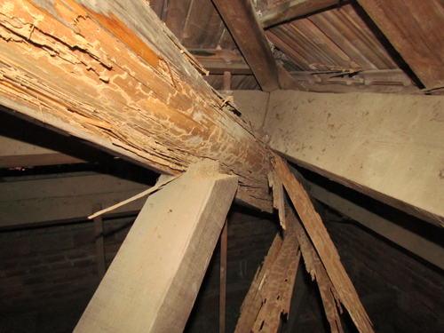 Eliminar termitas construcción